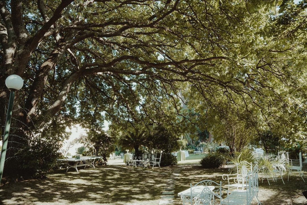 Alberi luce